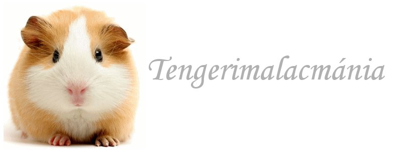 **Tengerimalacmnia**